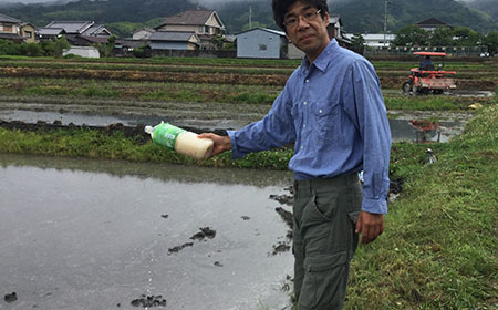 完全無農薬・減農薬での稲作