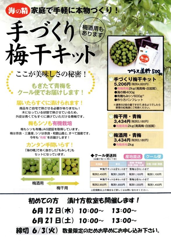 手づくり梅干キット教室