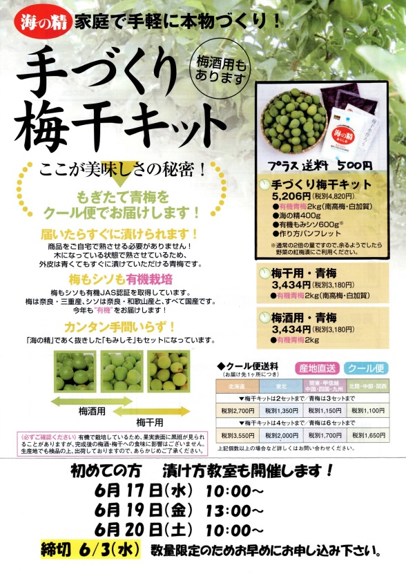 手づくり梅干キット教室